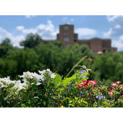 Spring-Пролет Apartment, Old Town, Veliko Tărnovo