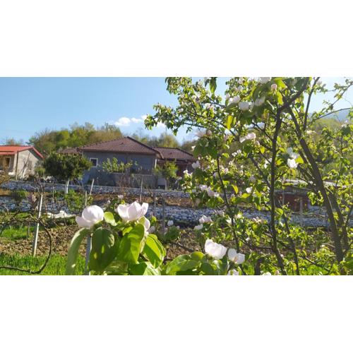 Spring Village Home