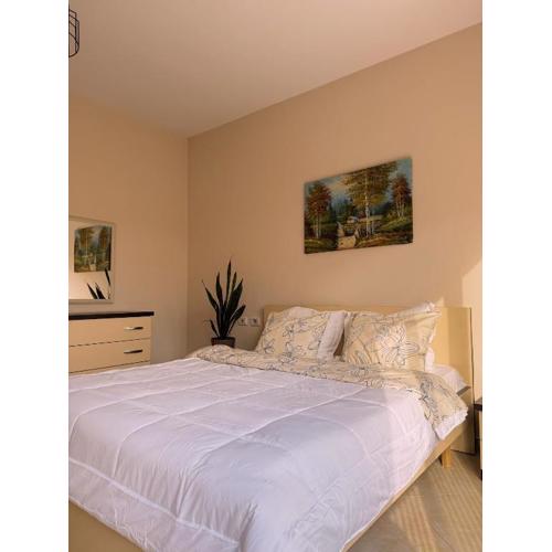 SS City Apartment