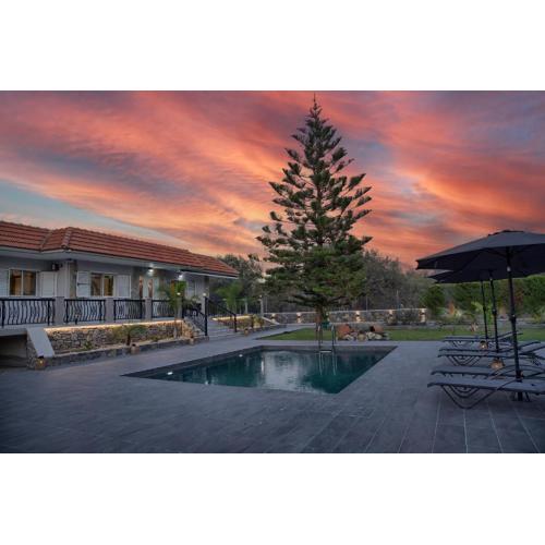 S&T VILLA