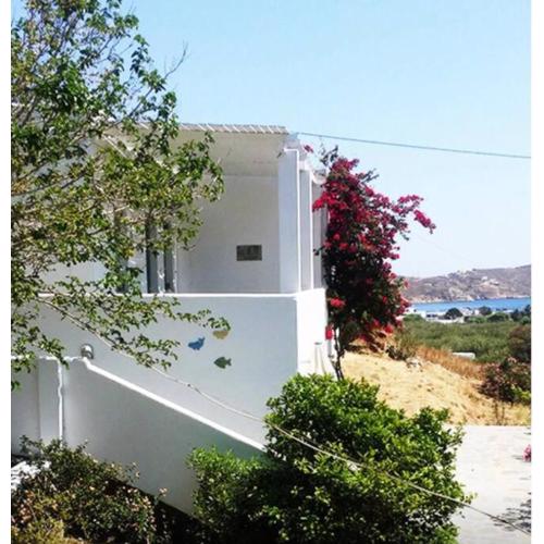 Starfish Villa
