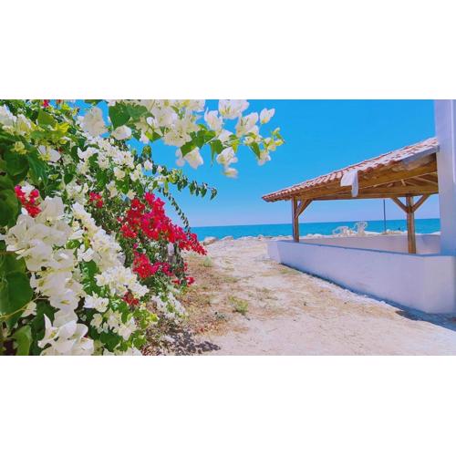 STAY Sea Gem Apartment