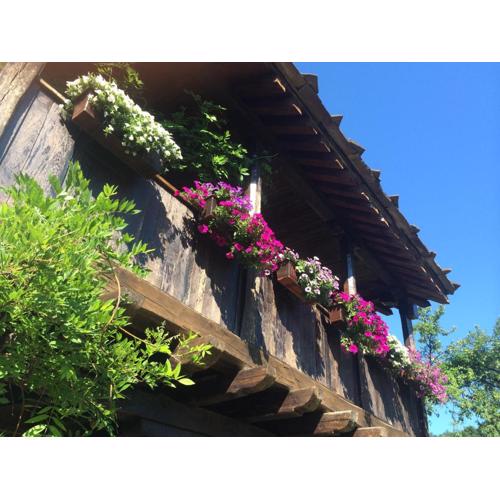 Stefanina Guesthouse