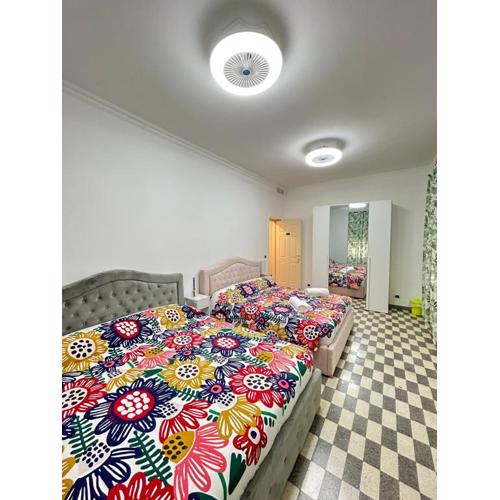 Stella Polare Sensorial Home
