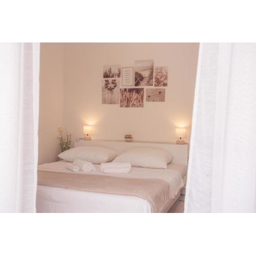 Stellar Suite