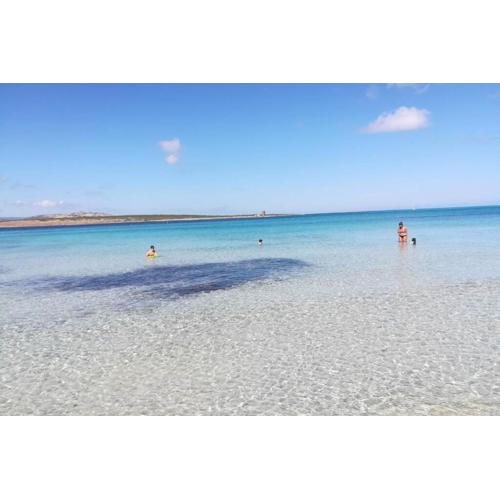Stintino sardegna delizioso bilocale vista mare