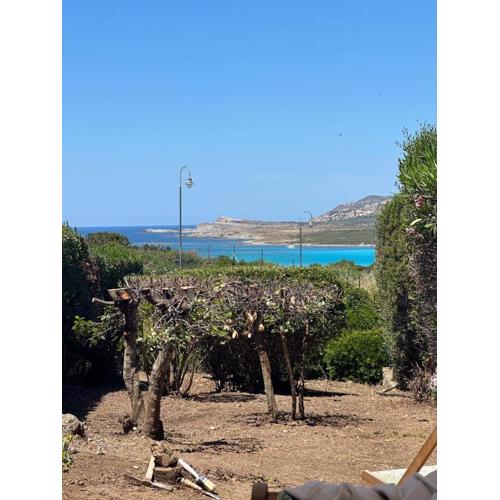 Stintino vista mare l\