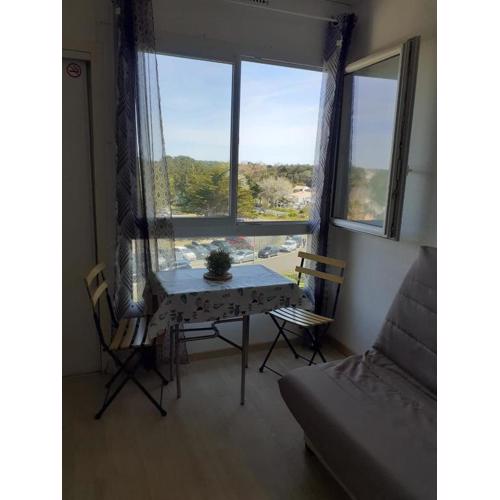 Studio - Marina 6 - 37 allée des pinons - 3-1