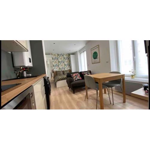 Studio 25m2 avec parking privé - Lycée Roosevelt - Arena - Gare