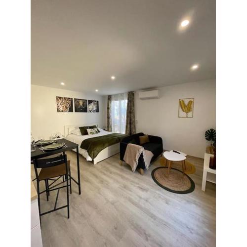 Studio 27m² sur la Côte Pavée avec parking privé