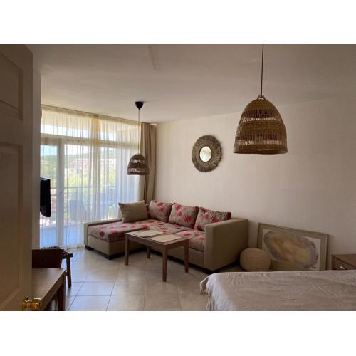 STUDIO 31 South Pearl Homes