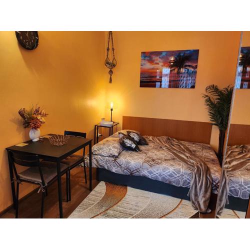 Studio 7A Cozy affordable central oasis