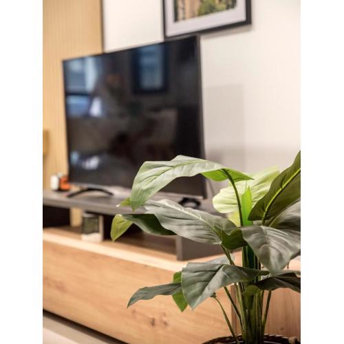 STUDIO 9 APARTAMENTO SEVILLA