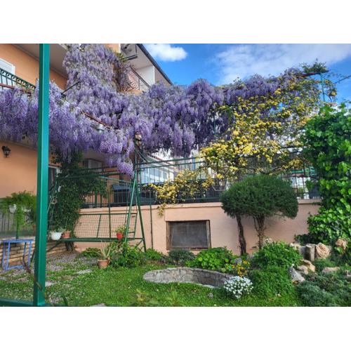 STUDIO APARTMAN KATARINA