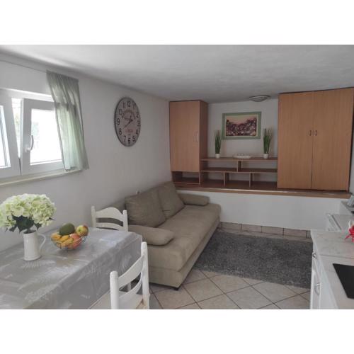 Studio Apartment Petrov