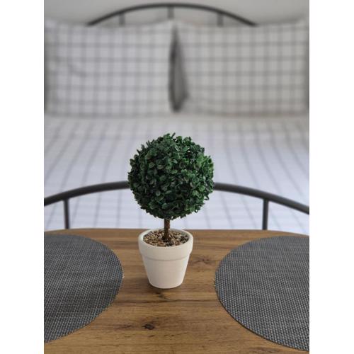 Studio apartment S&N