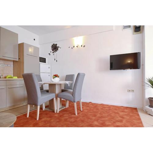 Studio apartment Visnjik