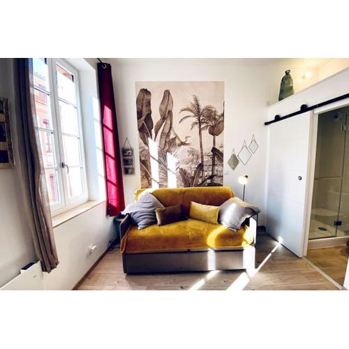 Studio centre, calme, vrai cocon.