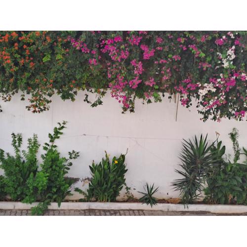 studio coquet chez LOU - Marsa