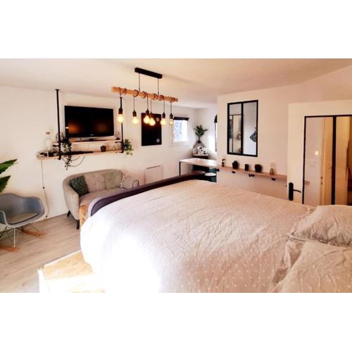 Studio Cosy Atypique - Toulouse