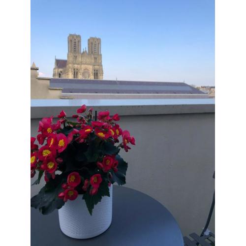 Studio cosy vue cathédrale