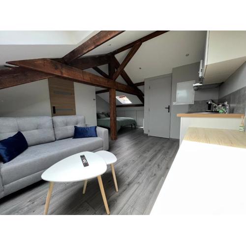 Studio entièrement rénové