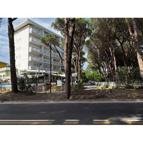 Studio in Rosolina Mare 54432