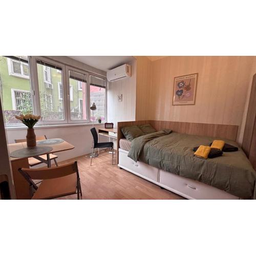 Studio in the heart of Sofia