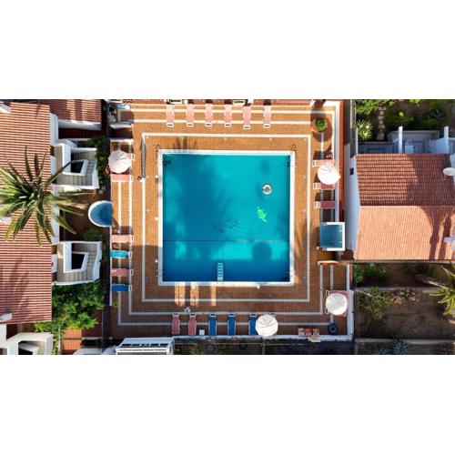 Studio Las Americas Monkey Beach