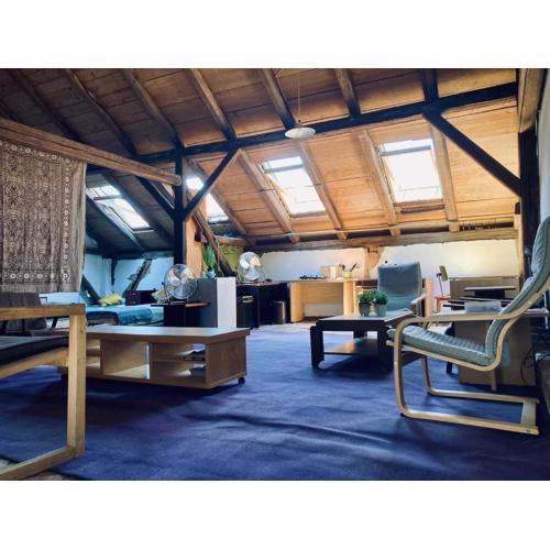 Studio Loft in Zagreb Center