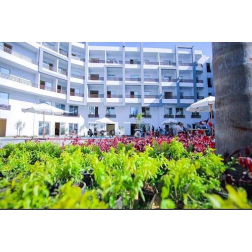 Studio near Marina and ELAlamein, No Beach