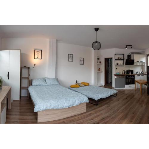 Studio Panagyurishte