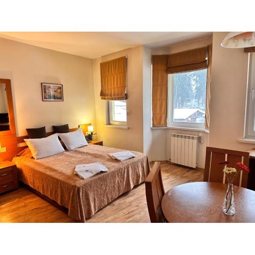 Studio Royal Plaza sleeps 4 Prime location, distance to ski lift - 50M
