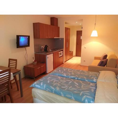 Studio Villa Park 207
