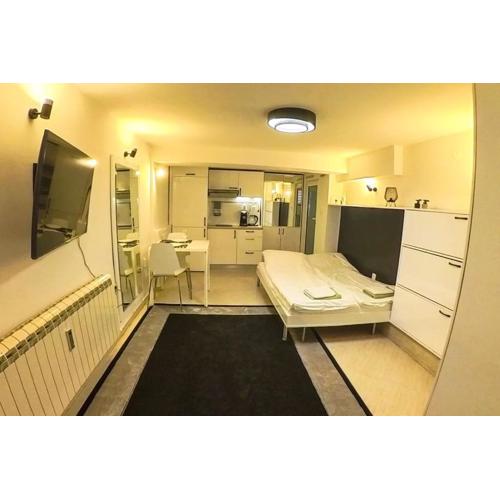 Studio with Courtyard Just Steps Away Vitosha Str