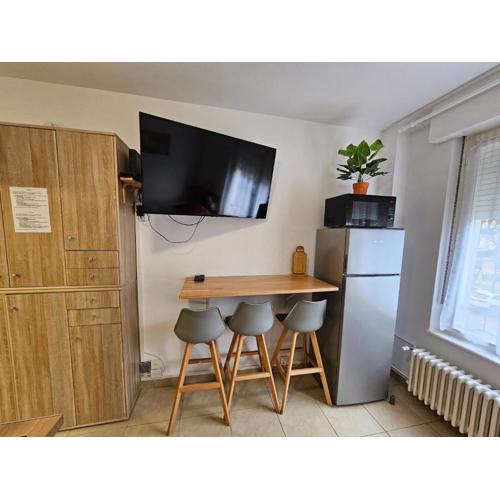 Studios Immostrasbourg - hébergements de tourisme classés proche centre et Conseil d\
