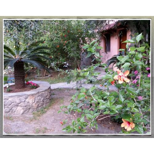 Stunning 2-Bedrooms private Cottage in Palaiochora