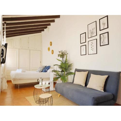Stunning attic with private terrace and Parking optional
