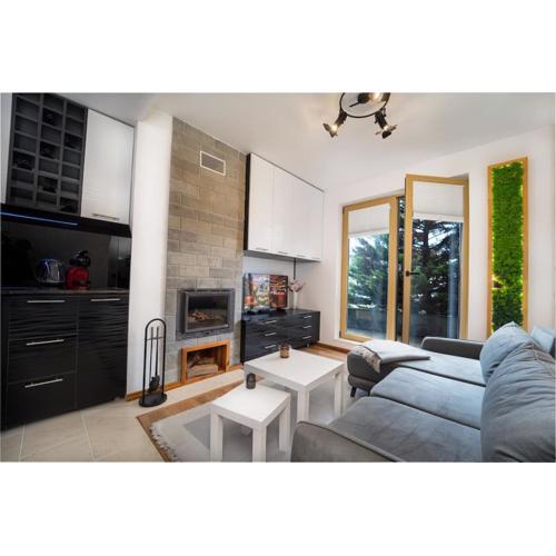 Stylish Cozy Studio with fireplace