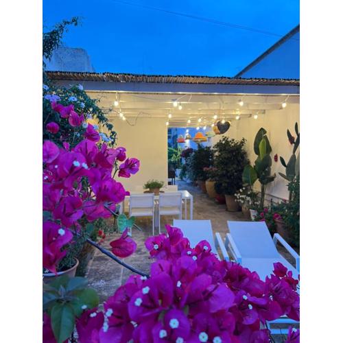Suite Battisti 7