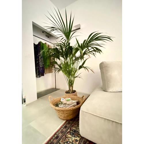 Suite con giardino Ravenna