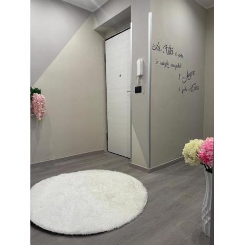 Suite Dream