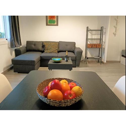 Suitur apartamento floridablanca barcelona