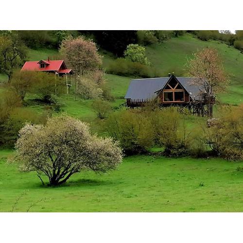 Süllü Dağ Evi
