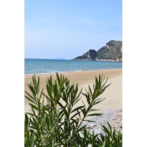 SUMMER HOUSE AL MARE