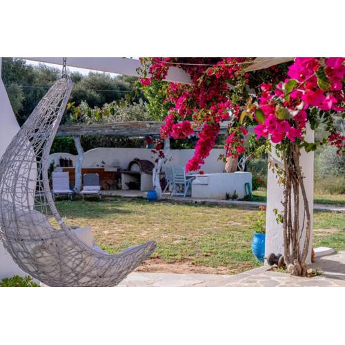 Summer House