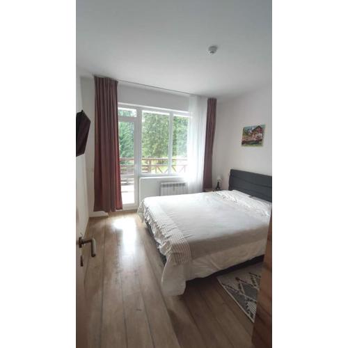 Sun Stream Apartment
