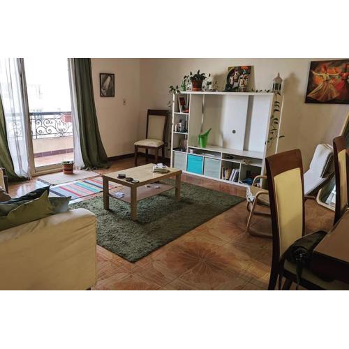 Sunny, Cozy, Quiet, Got it all
