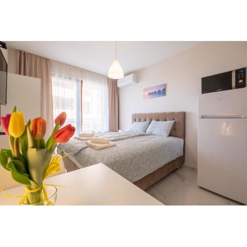 Sunny Dream Apartments