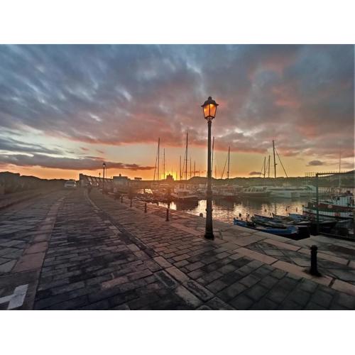 Sunny-Harbour